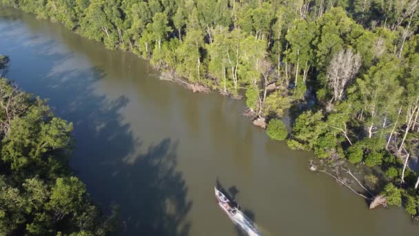 Fiske Båt Flytta Vid Mangrove Träd Växande Floden Sungai Tengah — Stockvideo