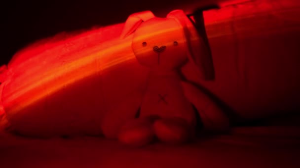 Красочный Свет Кроличью Игрушку Постели — стоковое видео