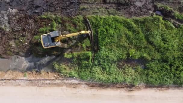 Aerial View Look Excavator Clear Land Move Pile Tree Trunk — Stock Video