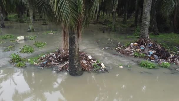 洪水中河流流经油棕树的空中垃圾堆 — 图库视频影像