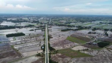 Malezya 'daki çeltik tarlasında havadan deniz manzarası
