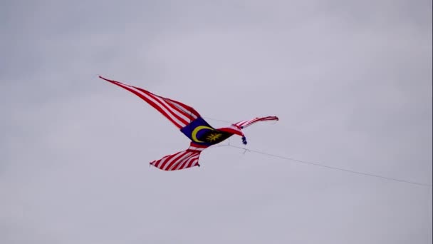 Malaysia Flagge Jalur Gemilang Drachen Fliegen Den Himmel Patriotismus Konzept — Stockvideo