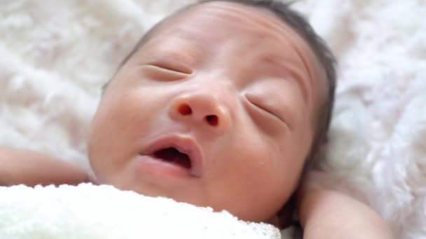 可爱的新生儿在白色的背景下醒来 — 图库视频影像