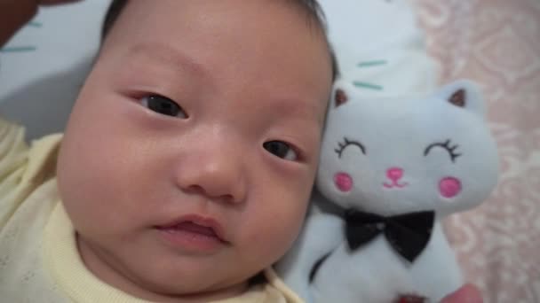 中国の赤ちゃん男の子とともに彼のコンパニオン青猫おもちゃでベッド — ストック動画