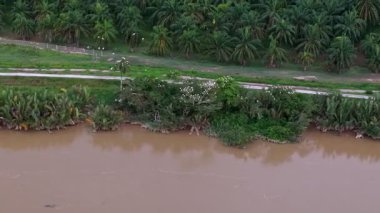 Kahverengimsi bir rengi ve arka planda ağaçları olan nehir..
