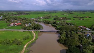 Üzerinde köprü olan yeşil bir tarladan geçen bir nehir. Hava görüntüsü Kuala Sala, Kedah