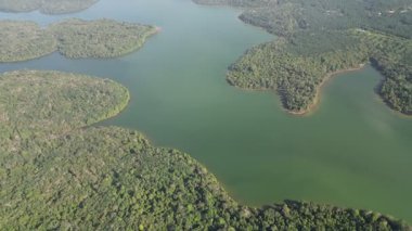 Arka planda su birikintisi olan yeşil bir orman. Su yeşil ve o bir göl. Hava görünümü