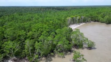 Arka planda ağaçlar olan kahverengimsi bir su gövdesi. Su bulanık ve kahverengimsi bir rengi var. Hava manzaralı Pantai Perpat, Batu Pahat