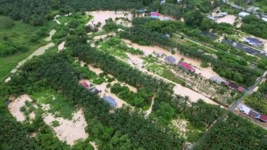 Junjung, Kedaha 'yı sel basmış, evleri ve ağaçları sel basmış. Evler ön planda, ağaçlar arka planda.