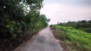 Yan tarafında ağaç olan bir yol. Yol bomboş. Gökyüzü bulutlu.