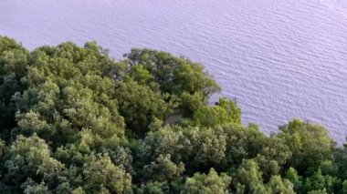 Arka planda ağaçlar olan bir su kütlesi. Su açık mavi bir renktir. Suda bir tekne var.