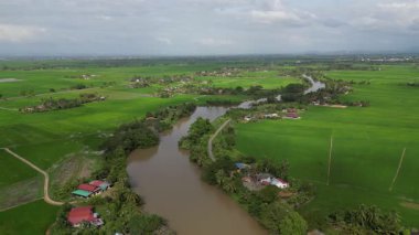 Bir nehir yeşil çimlerin arasından akar. Kuala Sala, Kedah 'da nehir boyunca evler ve binalar var.