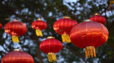 George Town, Penang, Malezya - Ocak 01 2025: Kırmızı ve sarı fenerlerden oluşan bir grup ağaca asılıyor, neşeli ve renkli bir atmosfer yaratıyorlar