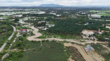 Hava aracı görüntüleri Sungai Perai Nehri 'nin taşkın sularını, palmiye tarlalarını, kırsal evleri ve etrafındaki pirinç tarlalarını gösteriyor..