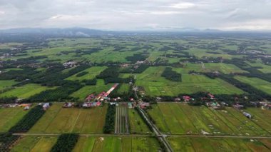 Nibong Tebal, Penang, Malezya 'daki çeltik tarlalarının ve kırsal yerleşimlerin insansız hava aracı görüntüleri..