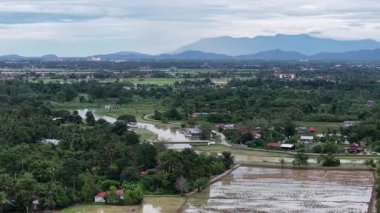 Gökyüzünden görünen nehir, uzak dağ arkaplanı olan Sungai Perai yakınlarındaki çeltik tarlaları, köyler ve ormandan geçiyor..