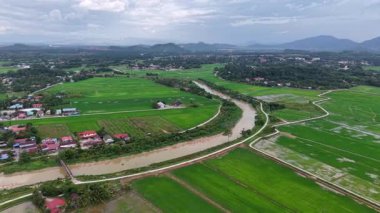Hava aracı görüntüleri Labuh Banting nehrinin pirinç tarlalarının, köyün, yolların ve uzak tepelerin içinden geçtiğini gösteriyor..