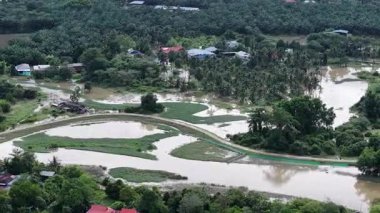 İnsansız hava aracı görüntüleri Labuh Banting yeşil taşkın ovası, palmiye tarlaları, göletler ve köy yolları gösteriyor..