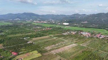 Hava aracı görüntüleri Balik Pulau çeltik tarlaları, tarım arazileri, köy kümeleri ve uzak tepeleri gösteriyor..