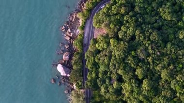 Batu Ferringhi 'de deniz kıyısındaki bir ormandan geçen bir yol. Yol boş ve ağaçlar yemyeşil.