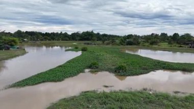 İnsansız hava aracı görüntüleri Sungai Perai nehir kıyıları, bitki örtüleri, kırsal yol ve yakındaki köyü gösteriyor..