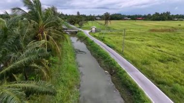 Pirinç tarlalarının yanındaki kırsal bir nehir kanalında çöpleri ve enkazı gösteren hava manzarası.