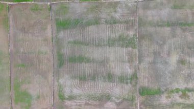 Havadan aşağı Labuh Banting segmentli çeltik tarlalarının ıslak toprak ve ürün kalıntıları desenleri görünüyor..