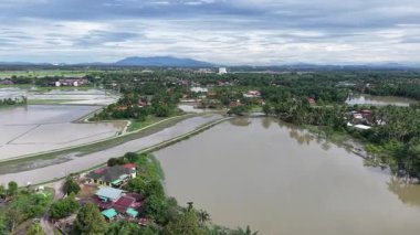 Gökyüzü insansız hava aracı görüntülerine göre sel suları Perai 'deki pirinç tarlalarını ve köyü sular altında bırakıyor..