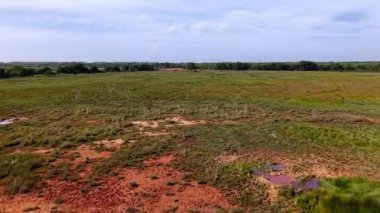 Drone, Malezya 'nın Batu Kawan kentindeki sulak ve otlak bataklığı ele geçirdi..