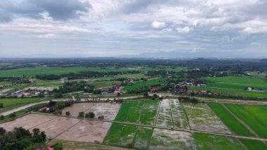 Labuh Banting pirinç tarlaları ve nehir ve uzak dağlarla dolu köy üzerindeki İHA görüntüleri..