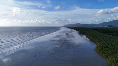 Hava görüntüsü, açık mavi gökyüzünün altında Balik Pulau 'daki kıyı mangrov ağaçlarının yakınındaki çamurlu araziyi yakalar..