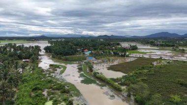 Sungai Perai nehrinin, sel basmış tarlalarının, palmiye ağaçlarının, kırsal evlerin ve bulutlu gökyüzünün altındaki uzak tepelerin üzerinden insansız hava aracı görüntüsü.