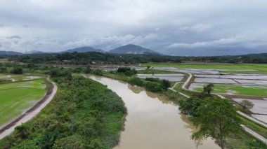 Nehrin aşağısında pirinç tarlaları, Sungai Perai yakınlarında toprak yollar ve tepeler bulutlu gökyüzünün altında kıvrılıyor..