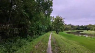 Sakin bir göletin yanındaki ağaçların arasından geçen dar bir toprağı ilk gören kişi..