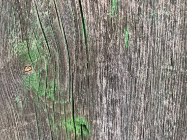 Eski ahşap döşeme dokusunun yakın plan çekimi. eski tahta arkaplan