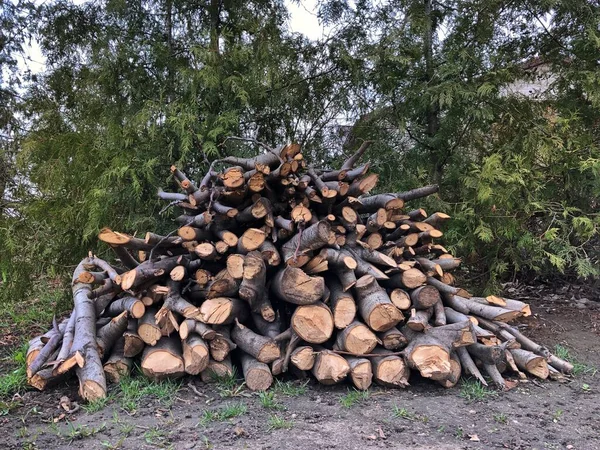 堆积如山的原木 家庭取暖和烧烤用原木 木质部 — 图库照片