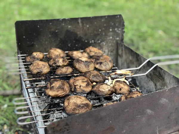 Приготовление Грибов Гриле Пикник Природе Вкусные Грибы Маринаде — стоковое фото