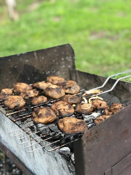 在烤架上煮蘑菇 野餐的性质 卤水中的美味蘑菇 — 图库照片