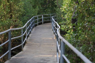Mangrove orman keşfi yolunun tırabzanları ve güvenlik engelleri var..
