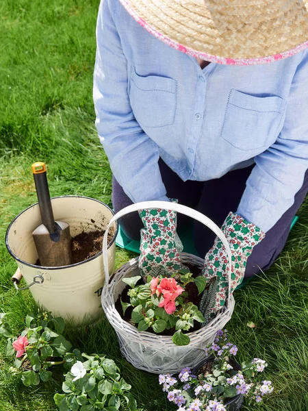 Reife Gärtnerin — Stockfoto