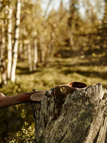 Hagelgevär och kåsa — Stockfoto