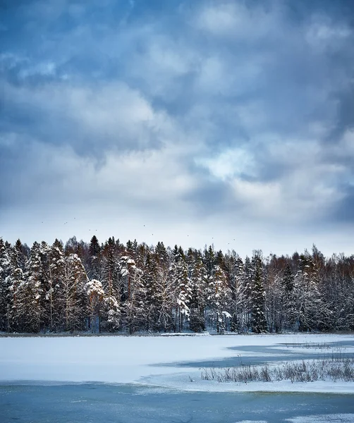 Vinterlandskap — Stockfoto