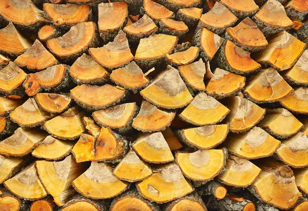 Firewood stack — Stock Photo, Image