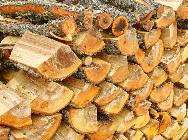 Firewood stack — Stock Photo, Image