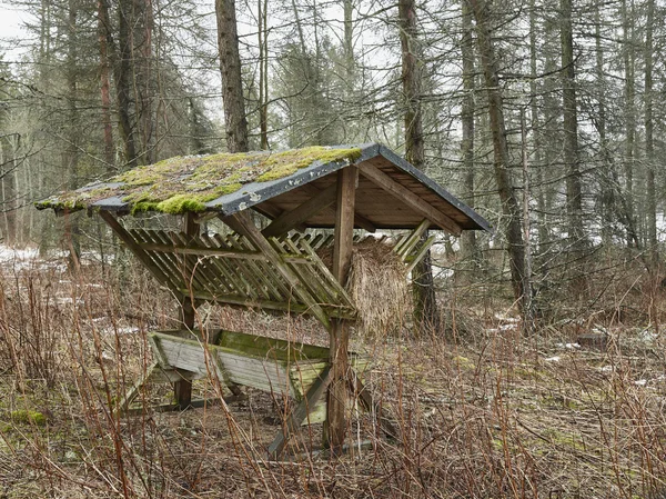 Wildlife podavač — Stock fotografie