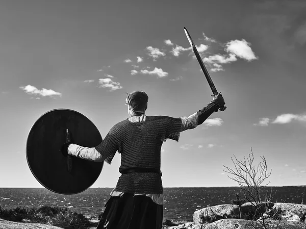 Viking warrior — Stock Photo, Image