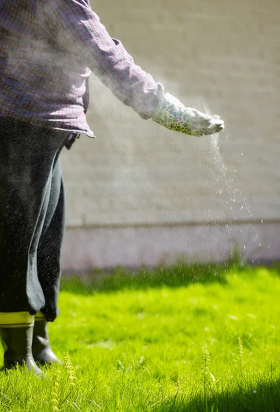 Verzorgen van het gazon — Stockfoto