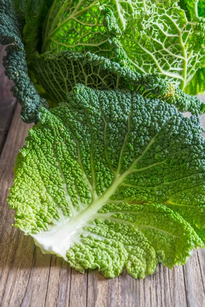 Savoy cabbage leaf — Stock Photo, Image