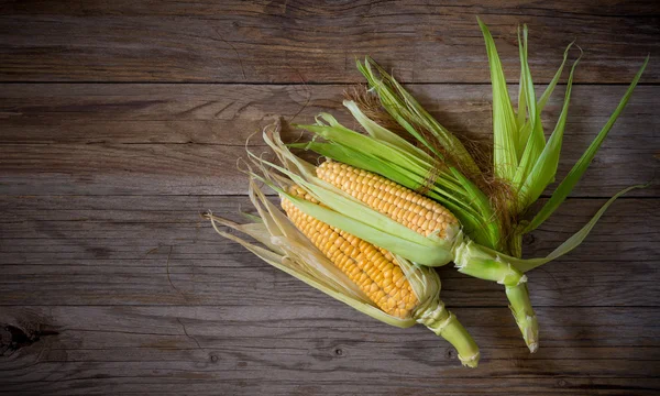 Corn cob on wood — Stock Photo, Image