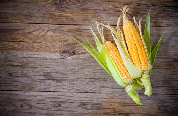 Top view corn cob — Stock Photo, Image